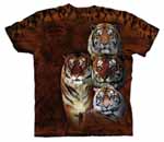 View All Evolution Designs