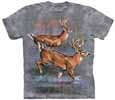 Deer T-Shirts & Elk T-Shirts
